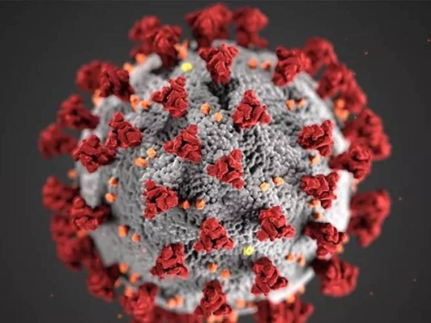 آثار فيروس كورونا على الجسم وتطوراته : ماذا نعرف حتى الآن؟