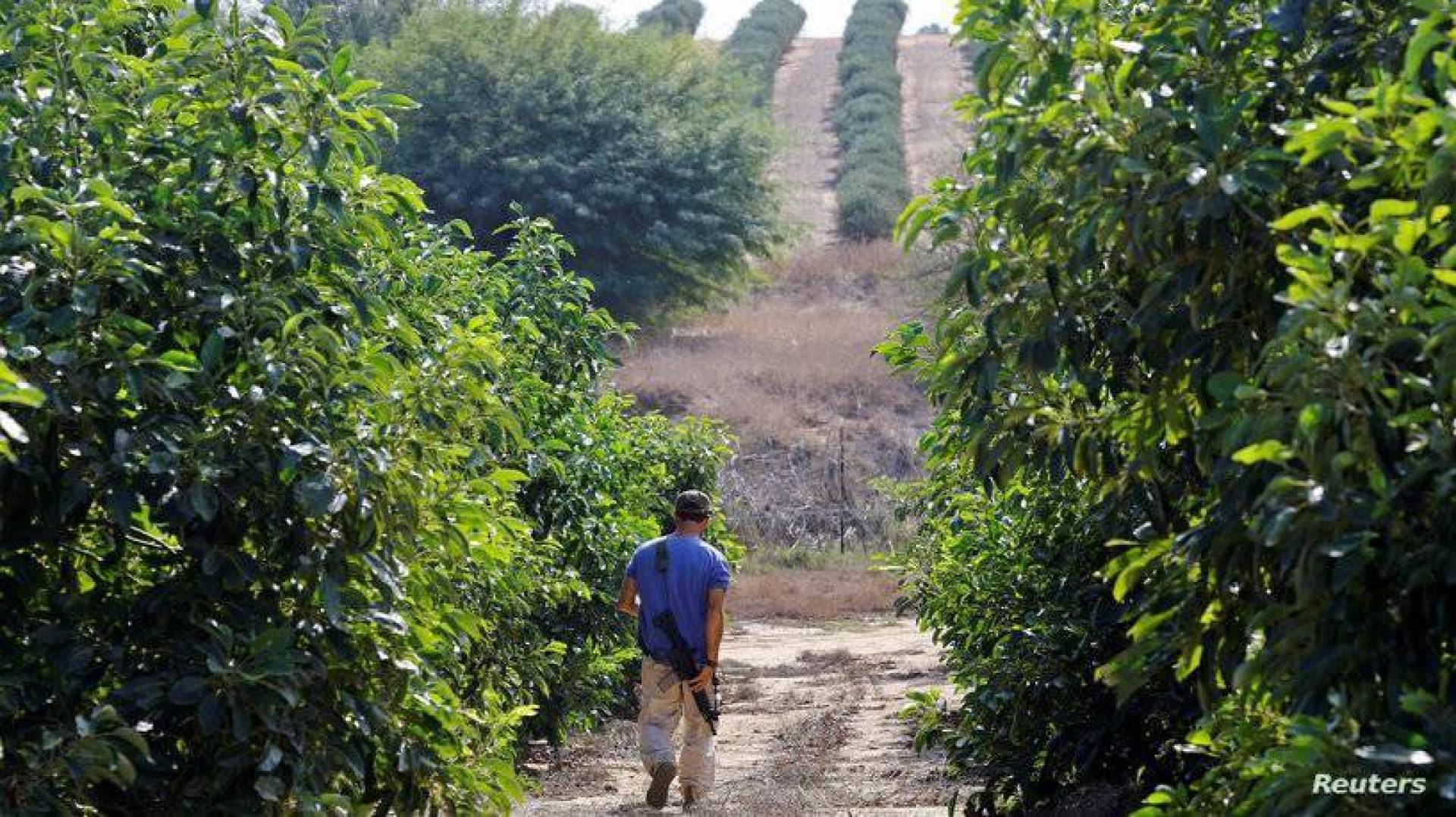 ارتفاع طلبات الحصول على السلاح بإسرائيل والمستوطنات