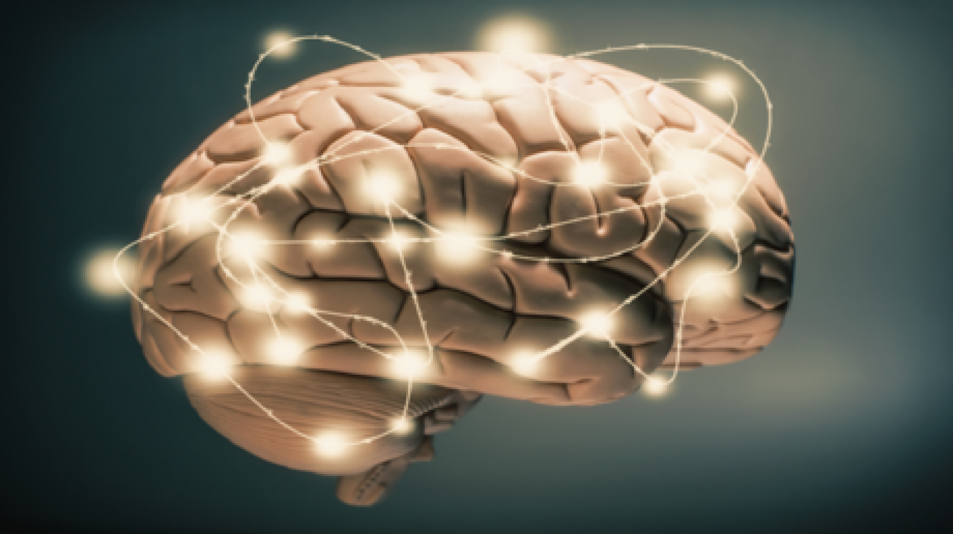 علماء يبتكرون نموذجا لدماغ بشري بحجم حبة الأرز