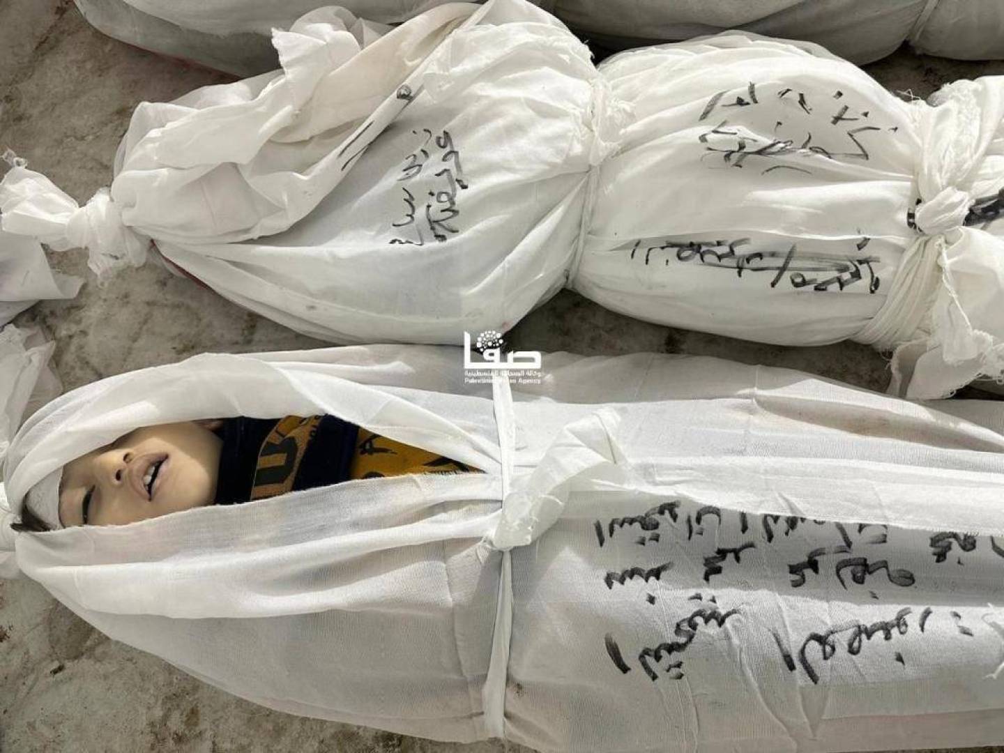 الأورومتوسطي: 