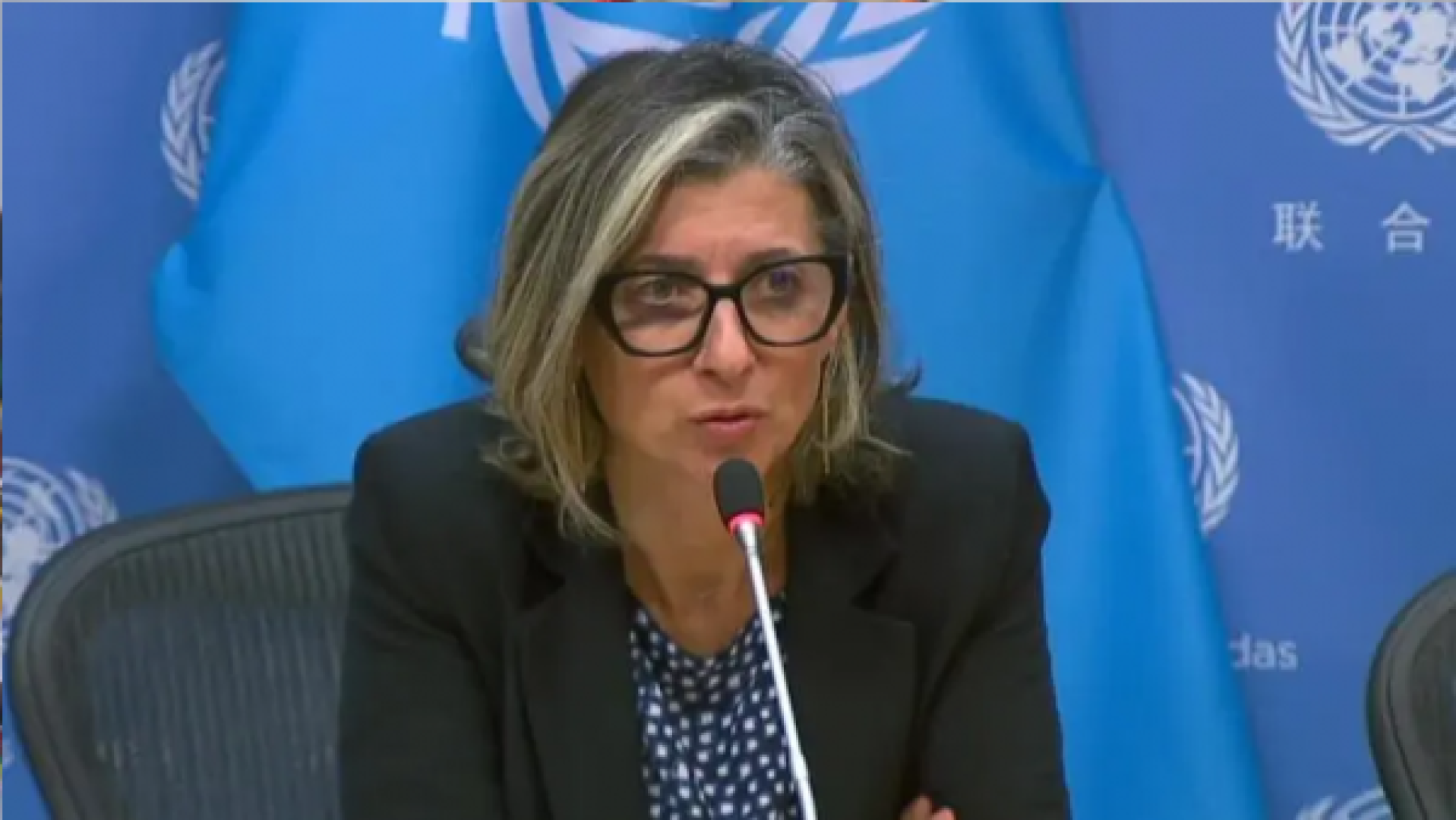 مقررة أممية: 