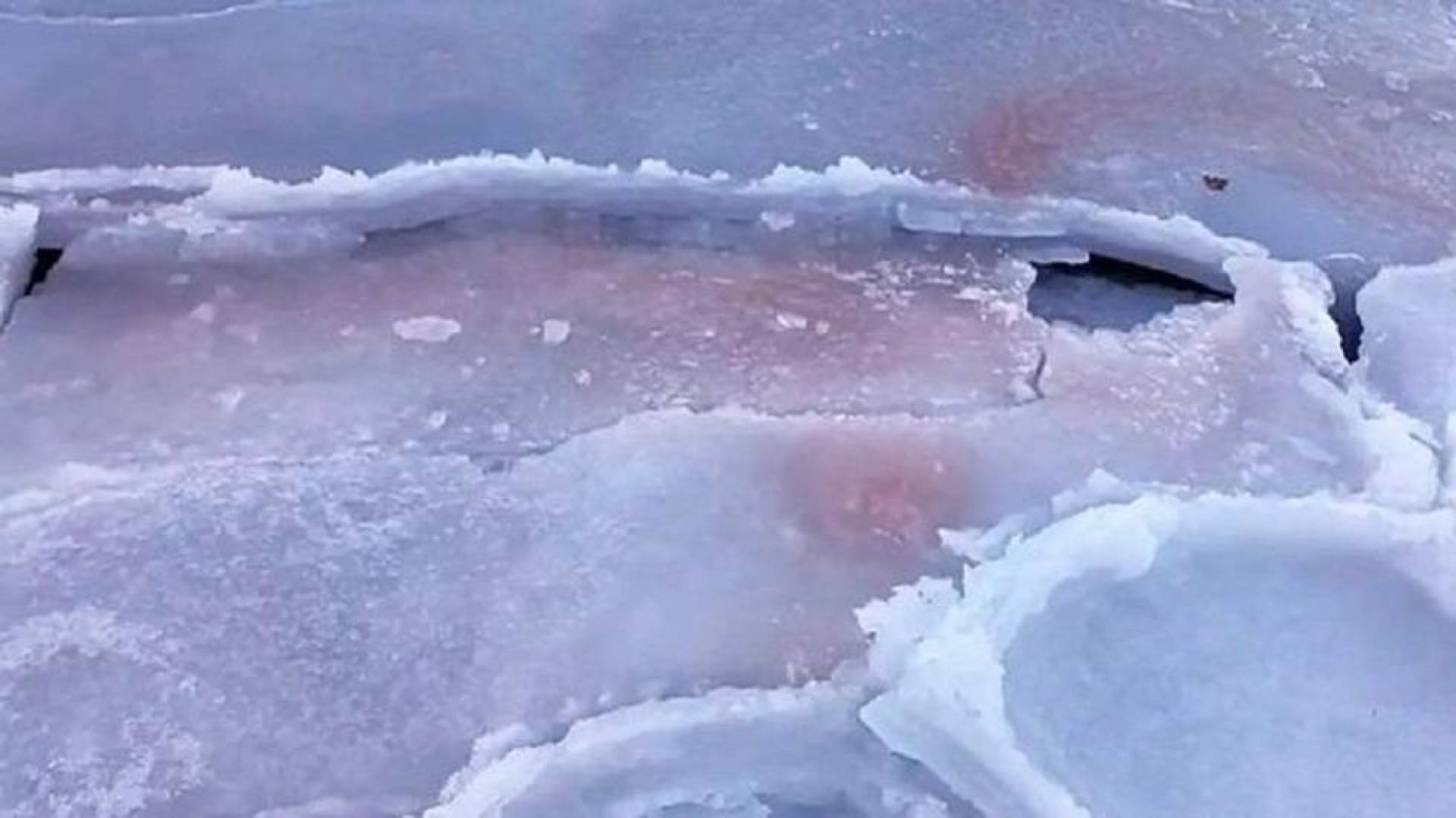تلون الجليد البحري في بريموريه باللون الاحمر .. اعرف السبب