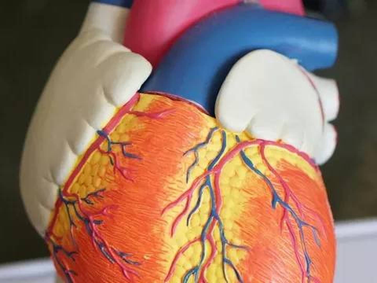 المواد البلاستيكية الدقيقة وزيادة خطر الأمراض القلبية والسكتات الدموية