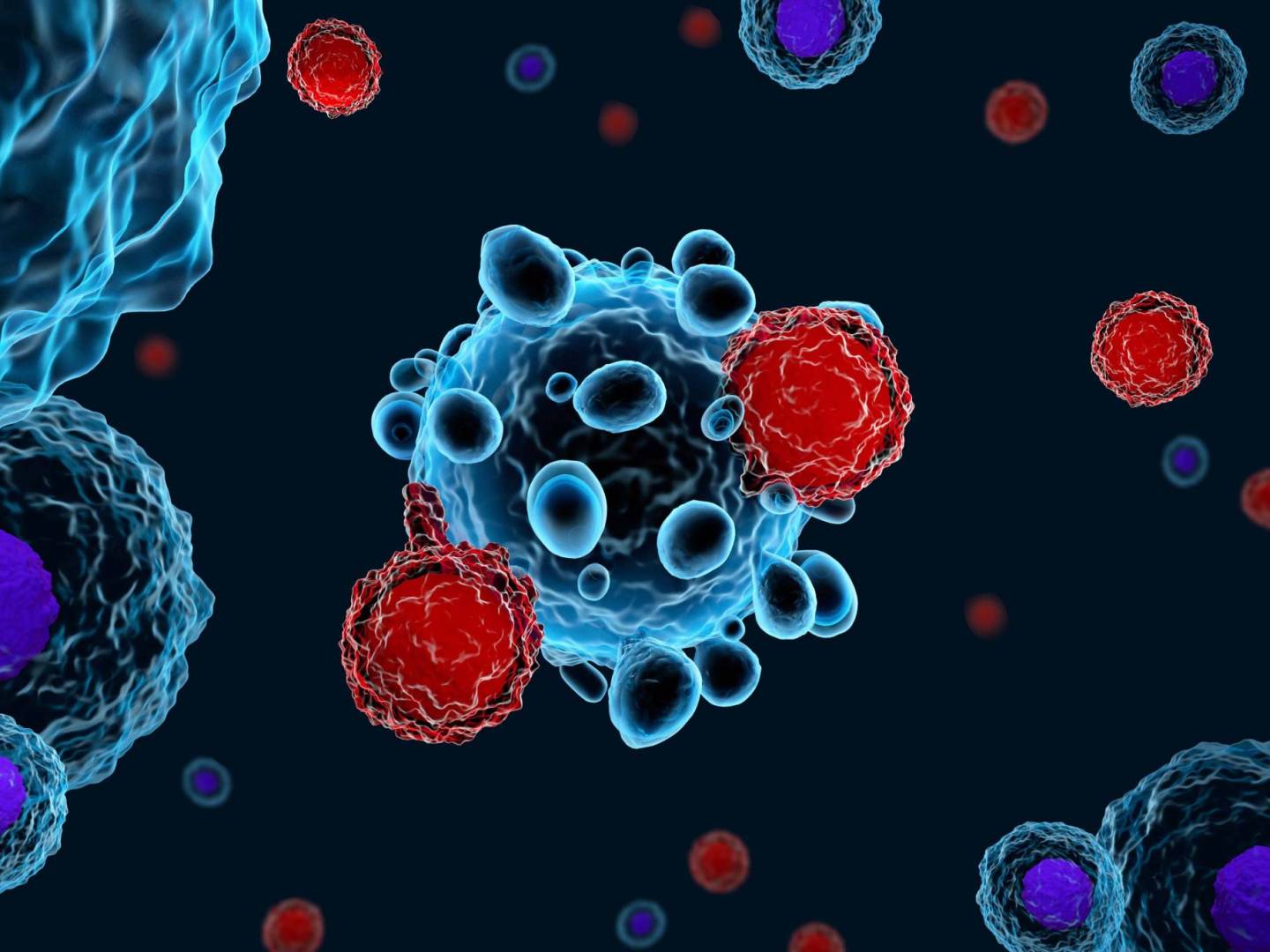 الخلايا التائية 