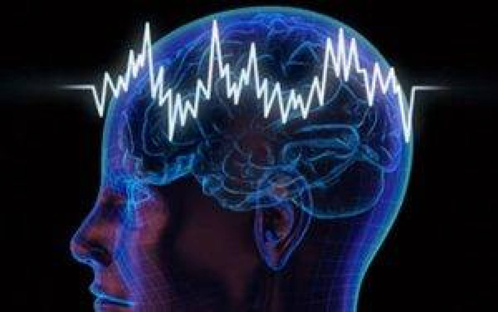 دور الحصين في تخزين الذاكرة المهمة ونسيان التفاصيل البسيطة