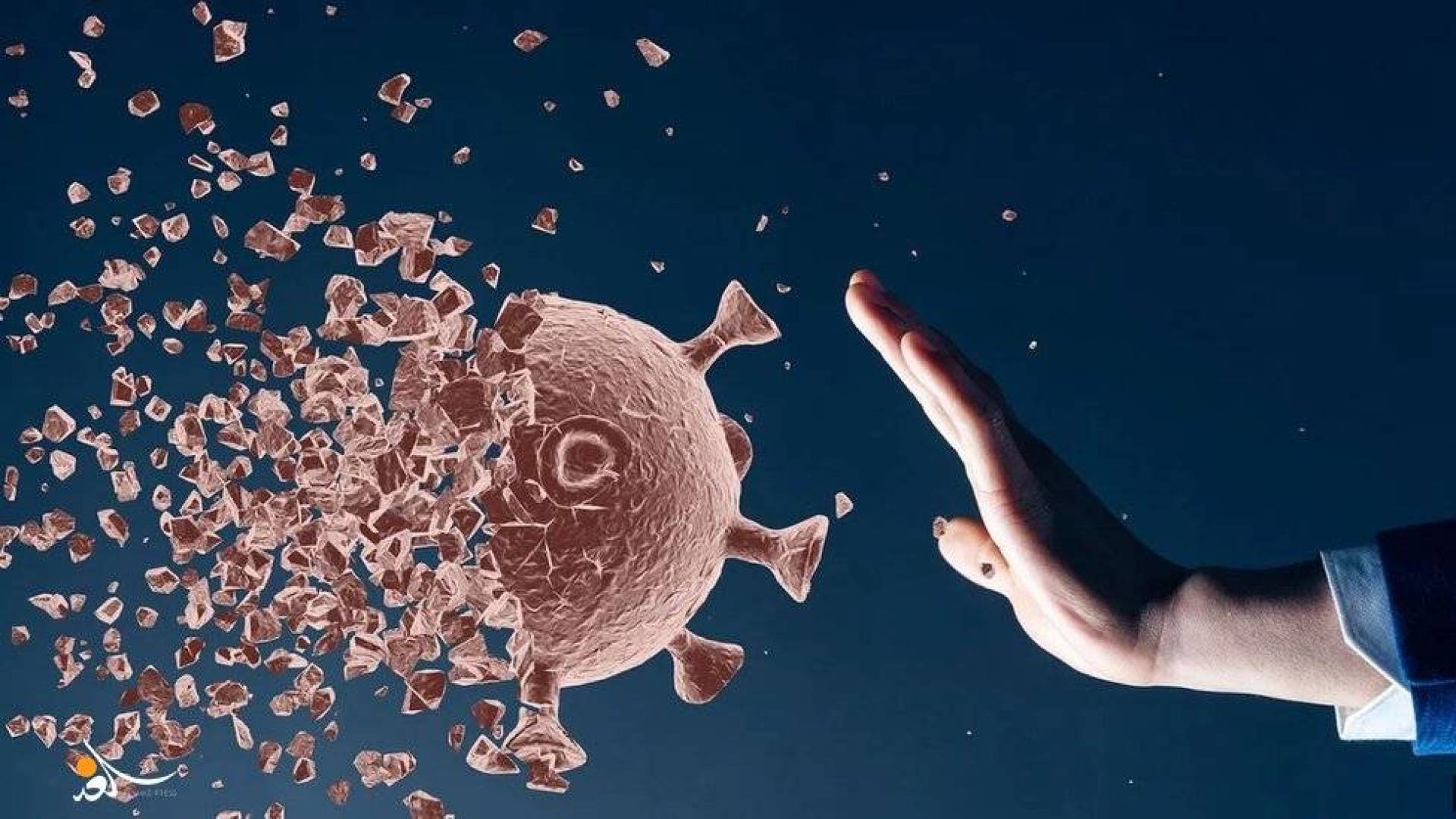 اختفاء سلالة 