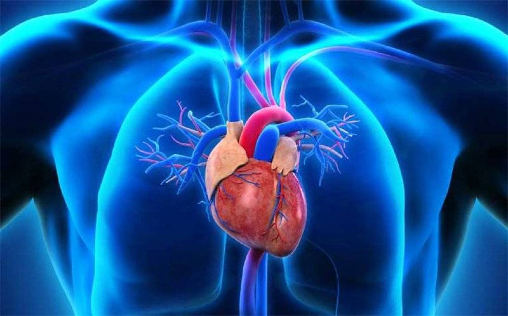قصور القلب يؤثر على عمل الخلايا الجذعية