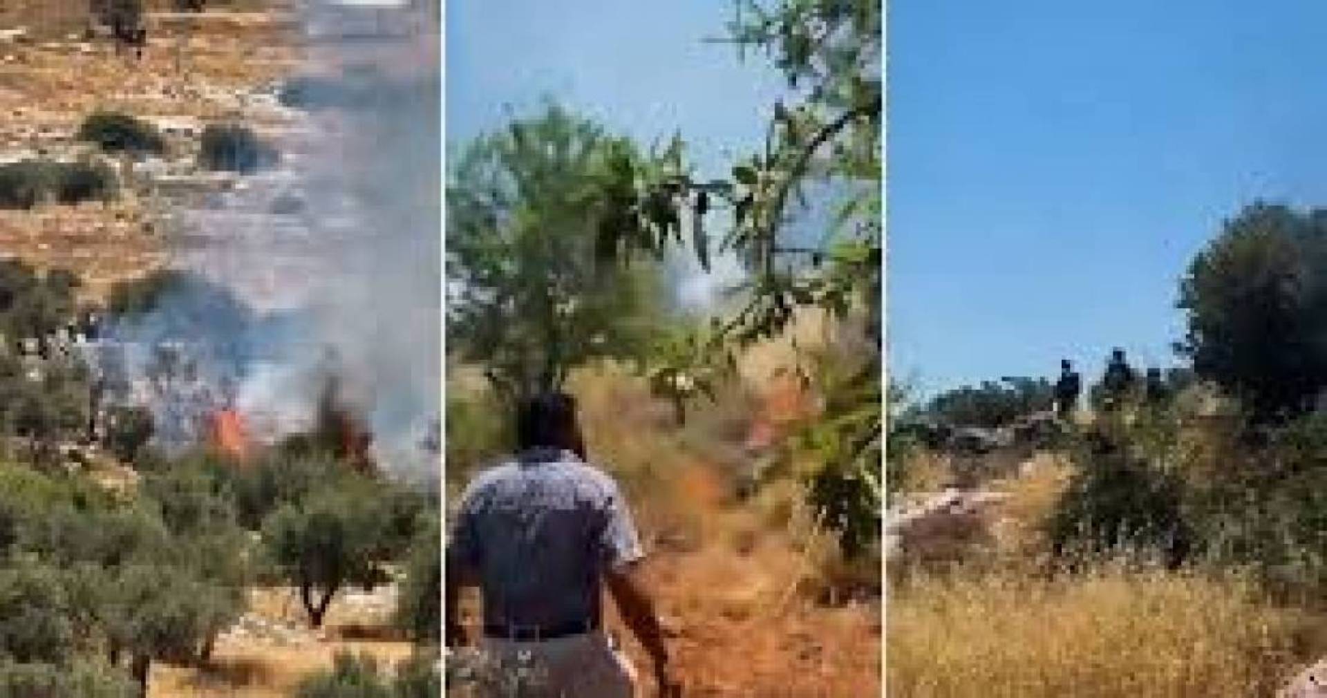 مستوطنون يهدمون عددا من المنشآت بمنطقة المعرجات في أريحا