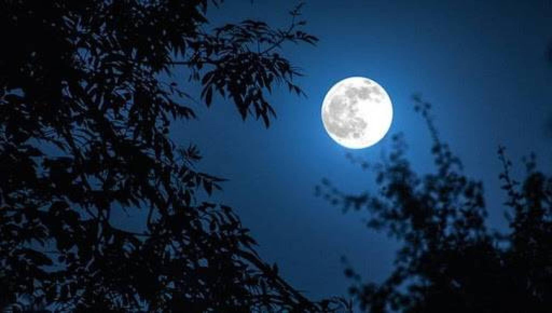 تأثير التجاذب بين الأرض والقمر على الجانب المظلم من القمر