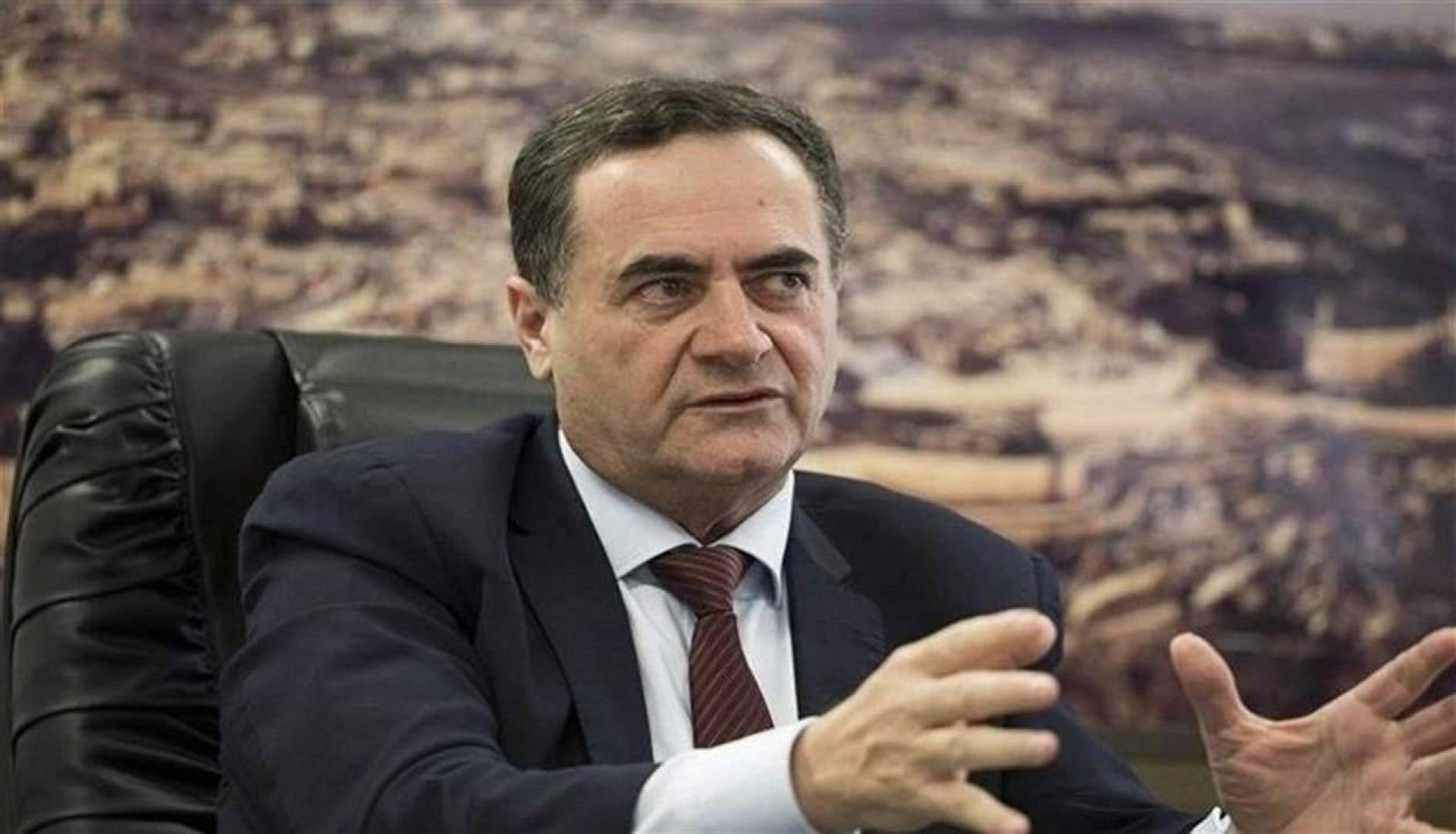 وزير خارجية الاحتلال الإسرائيلي يدعو لاغتيال يحيى السنوار