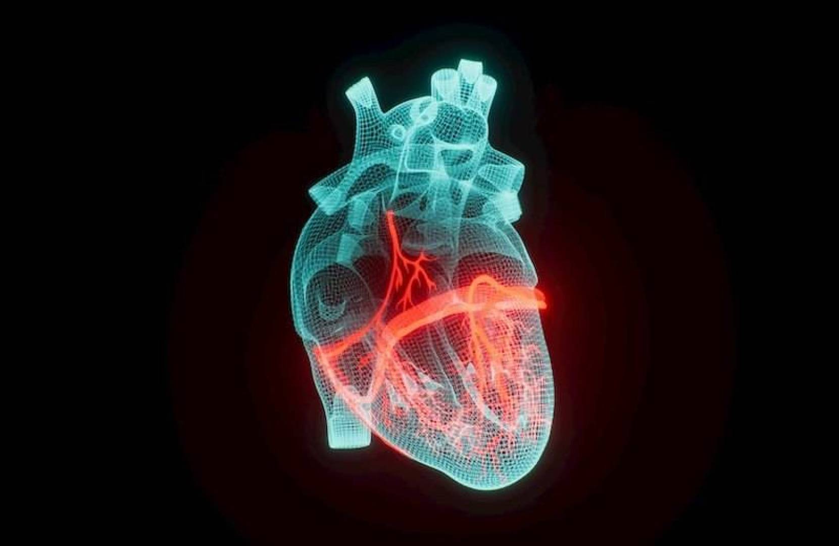 استراتيجيات فعالة لإدارة فشل القلب الاحتقاني وتحسين الحياة