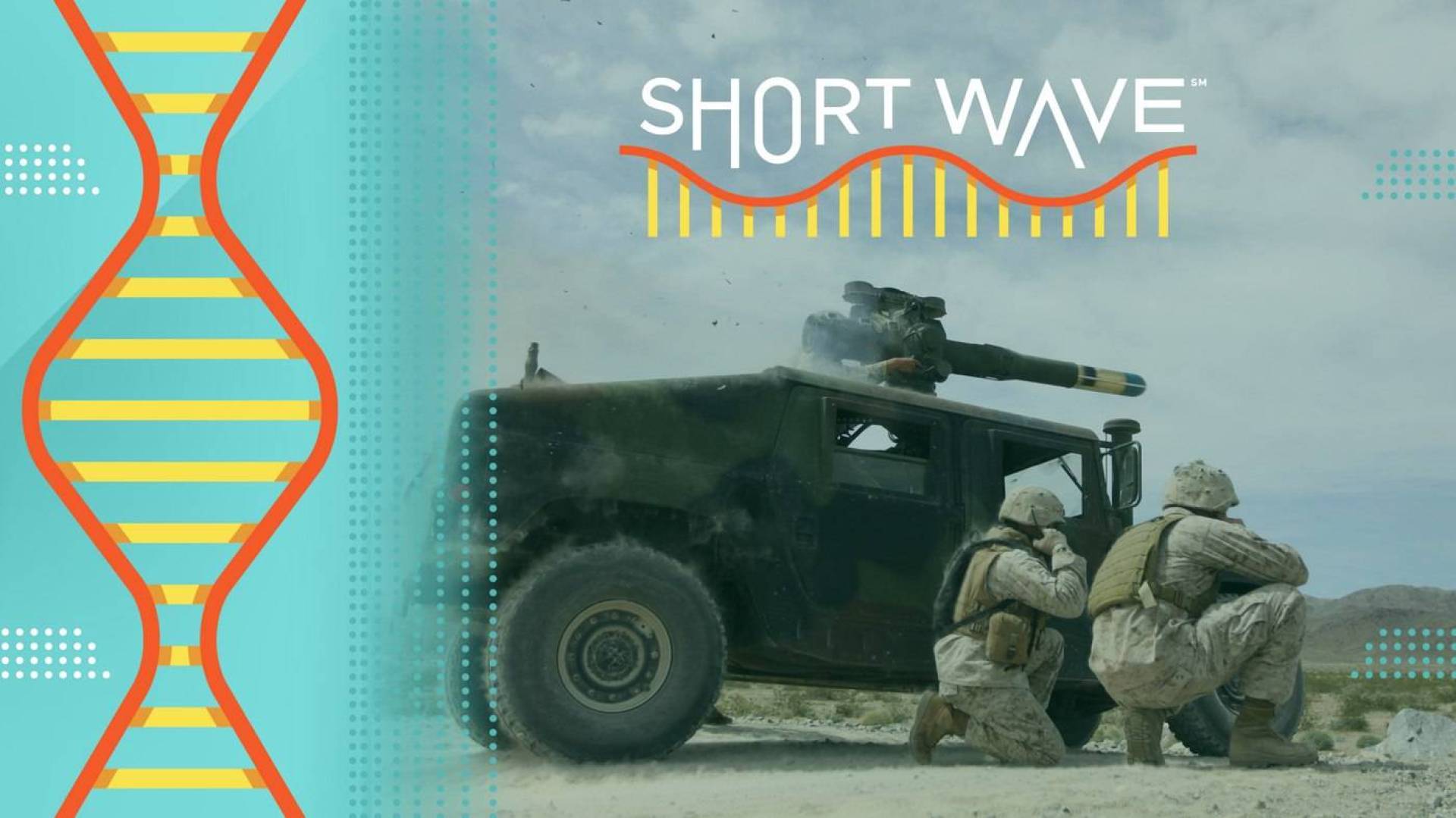 الأضرار الكبيرة التي يسببها إطلاق الأسلحة على الدماغ