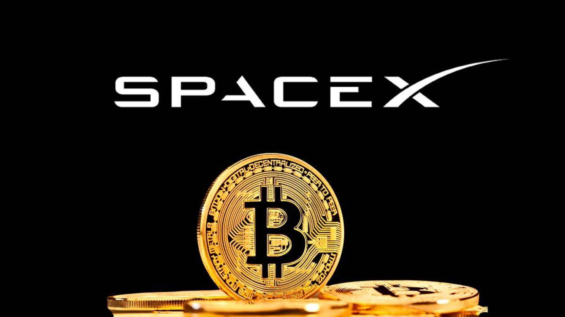 هل تعلم أن SpaceX تمتلك أكثر من 8,285 بيتكوين؟ تعرف على استثمارات إيلون ماسك الرقمية