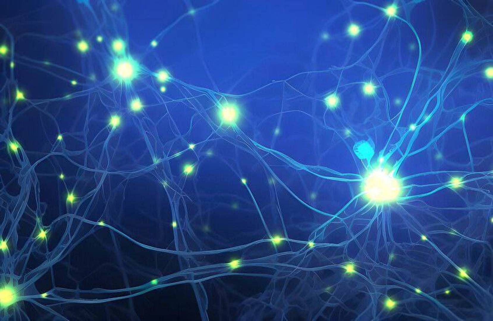 أطلس شامل لجميع خلايا جسم الإنسان.. قفزة علمية نحو فهم جسم الإنسان