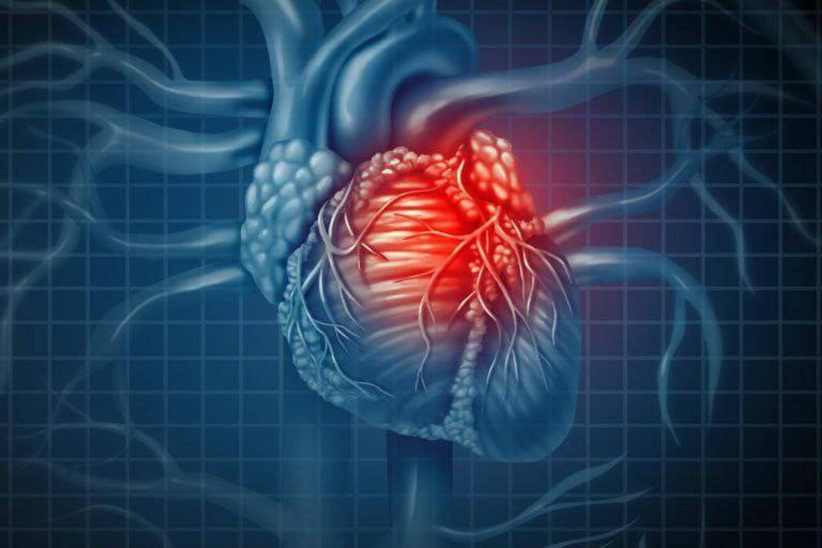 انخفاض مستويات الأجسام المضادة.. يزيد من خطر الإصابة بأمراض القلب لدى النساء