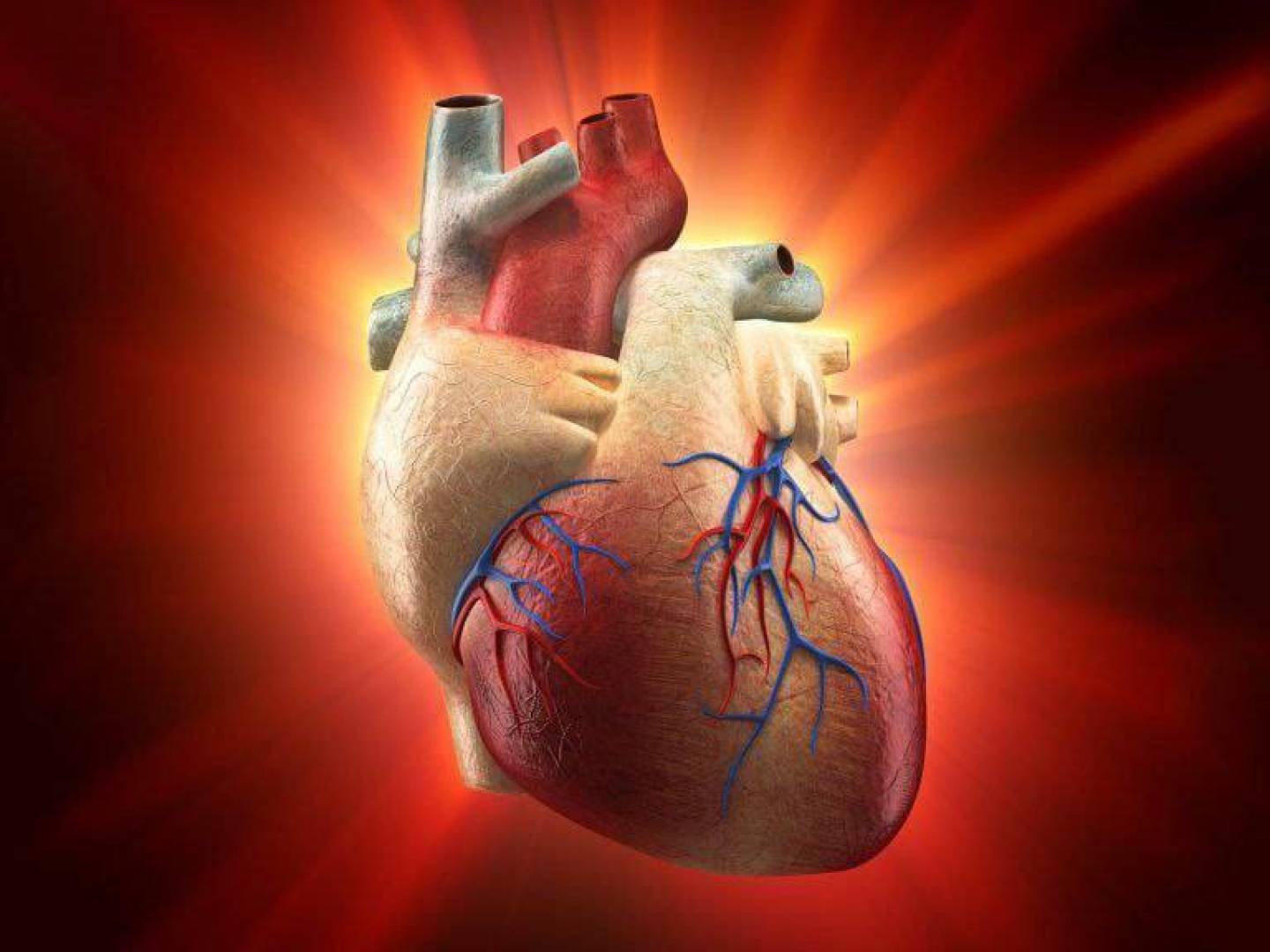 القلوب الاصطناعية تقدم أمل جديد لعلاج فشل القلب