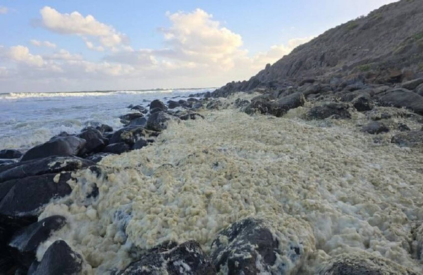 رغوة صفراء غريبة تغزو شواطئ أستراليا وتصيب أكثر من 100 شخص بأعراض تحسسية