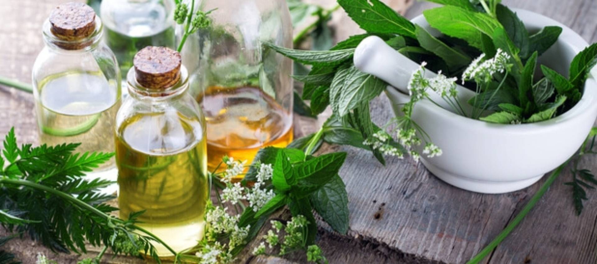 أشهر الأعشاب الطبية في العالم