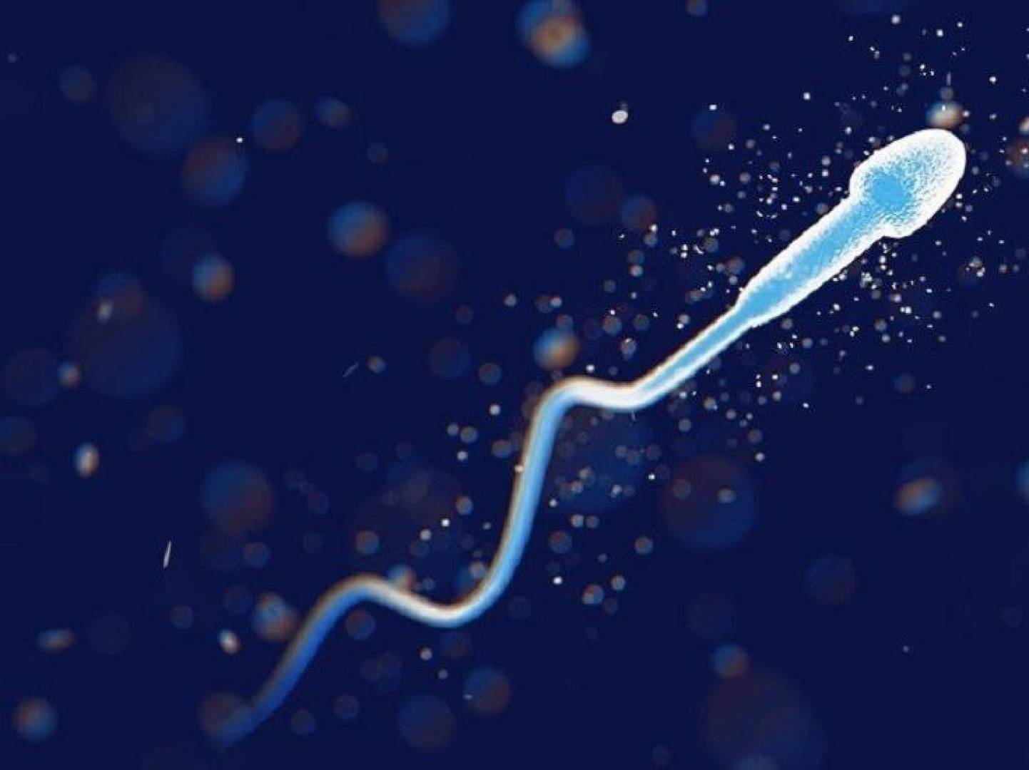 الكشف عن سر حركة الحيوان المنوي.. مفتاح الخصوبة