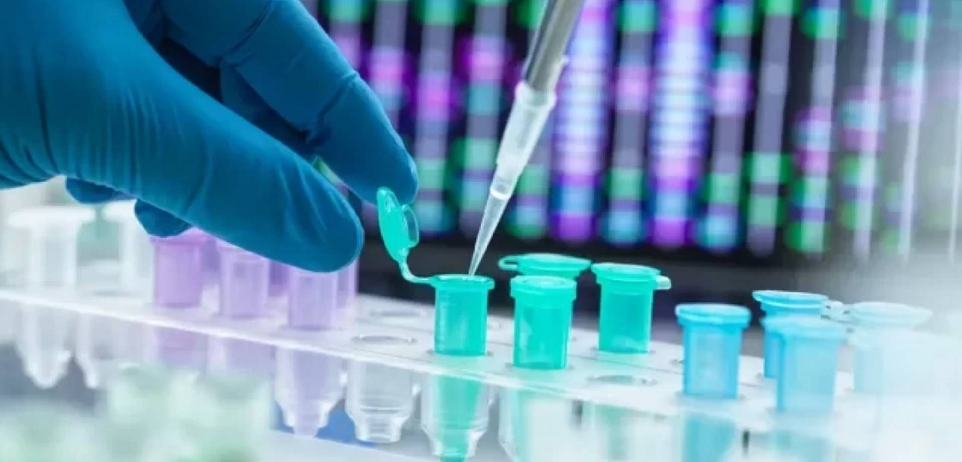 كيفية استخدام الحمض النووي (DNA) في تحديد هوية ضحايا الكوارث الجماعية