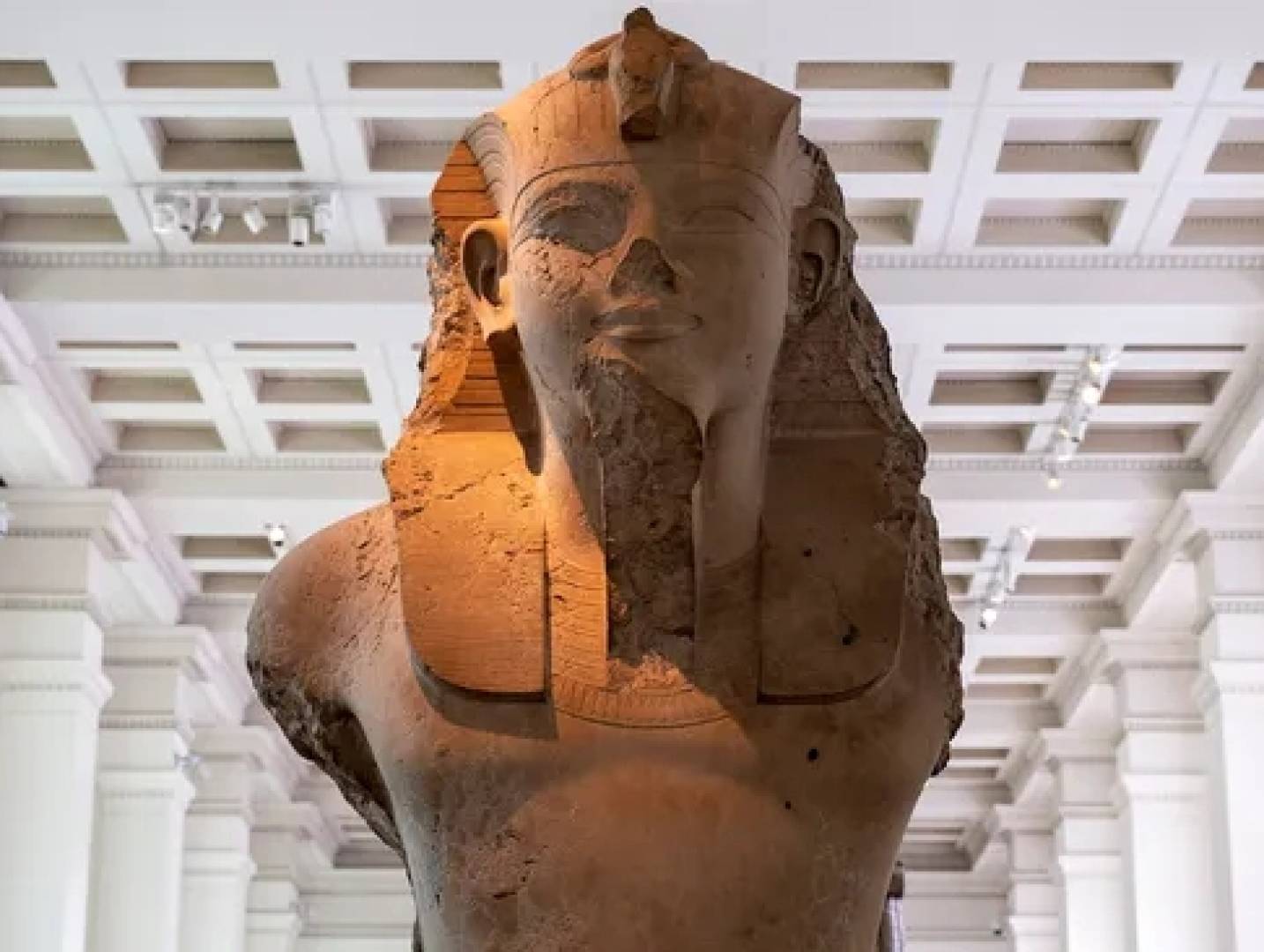 الكشف عن كيفية وفاة رمسيس الثاني وصراع أبنائه على العرش الكشف عن كيفية وفاة رمسيس الثاني وصراع أبنائه على العرش