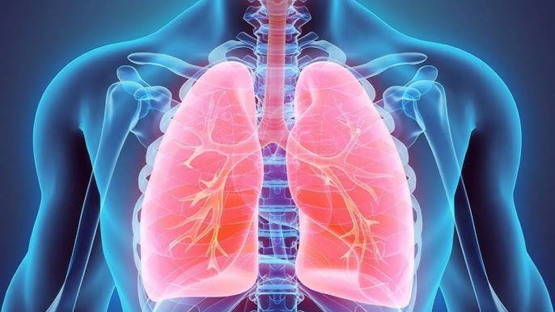 ابتكار نموذج رئة حي مطبوع ثلاثي الأبعاد يحاكي الواقع بدقة مذهلة