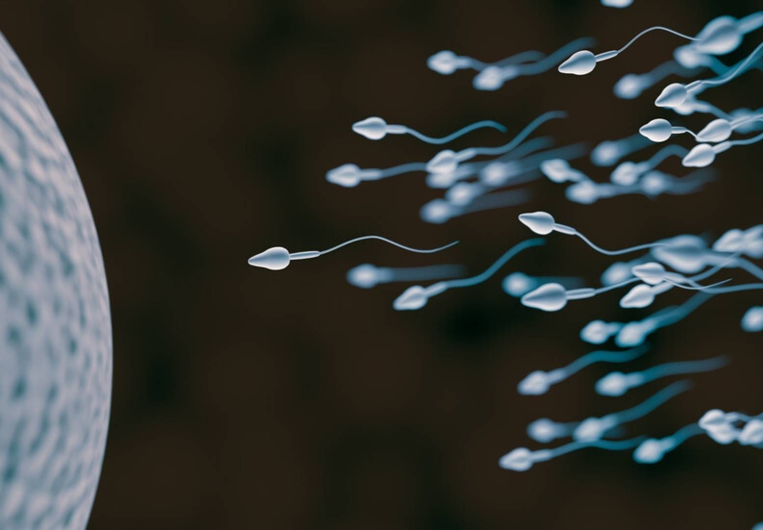 كيف تتحدى الحيوانات المنوية قوانين نيوتن؟