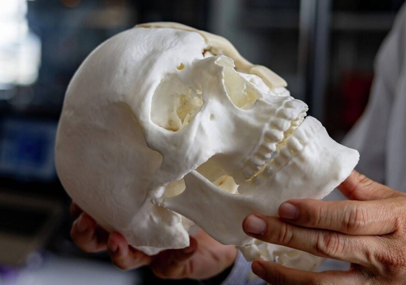 روسيا تطور خوارزمية ثورية لتحديد عمر الرفات بدقة في علم الآثار والطب الشرعي