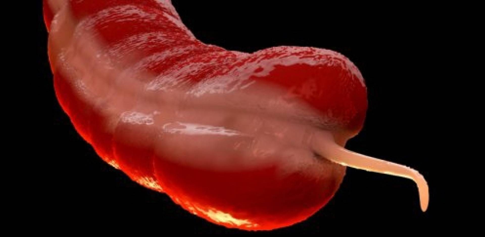 ارتفاع مقلق وغموض طبي.. السرطان المنسي الذي يصيب الشباب فجأة