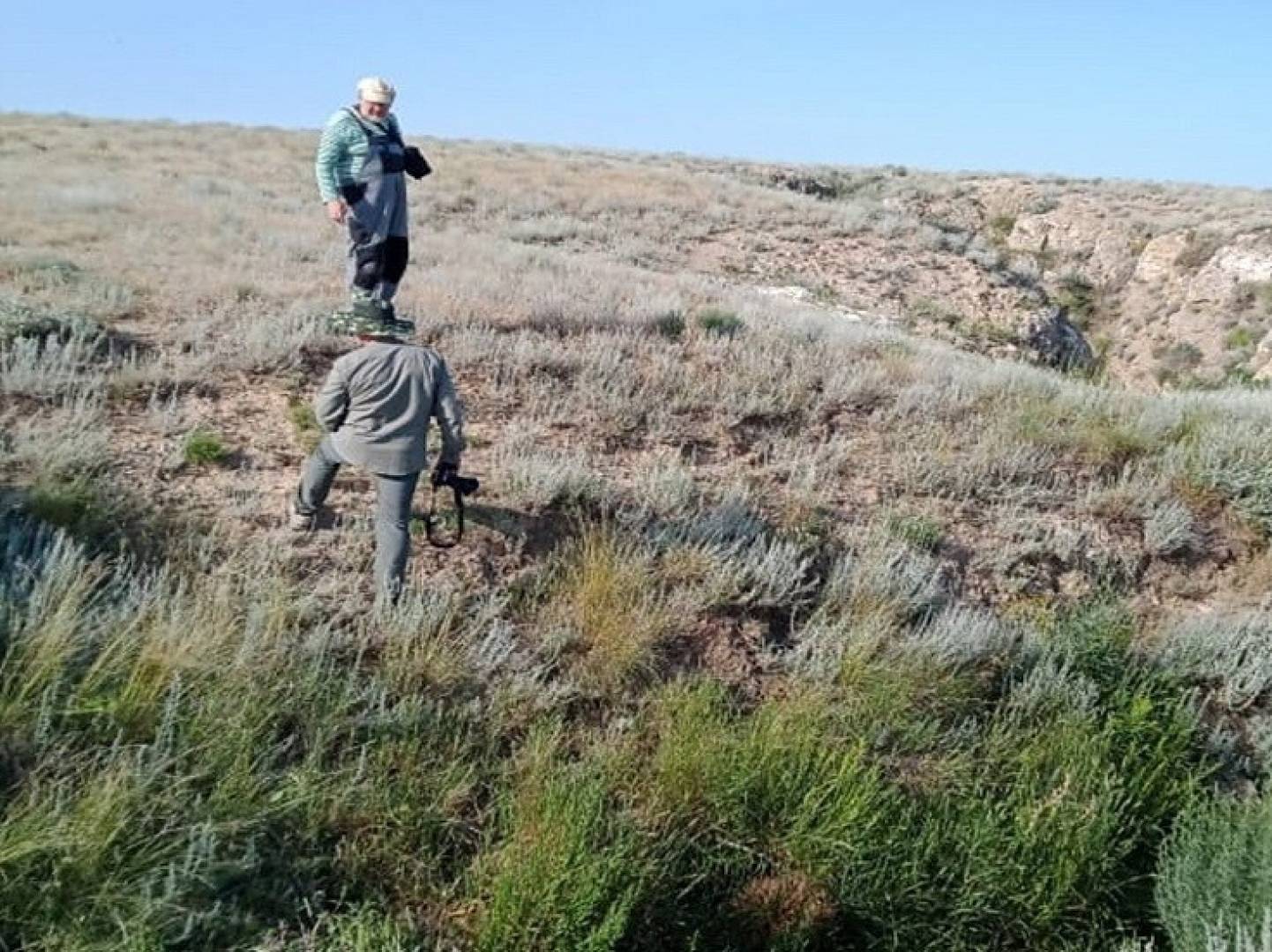 اكتشاف عشبة الخلود.. أمل جديد في علاج السرطان وتقوية المناعة