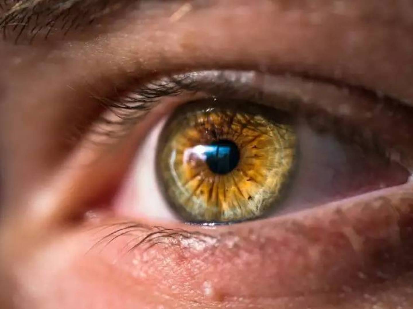 ذكاء اصطناعي متقدم يكتشف مبكرا أمراض القلب واعتلال العين السكري والسرطان بدقة عالية