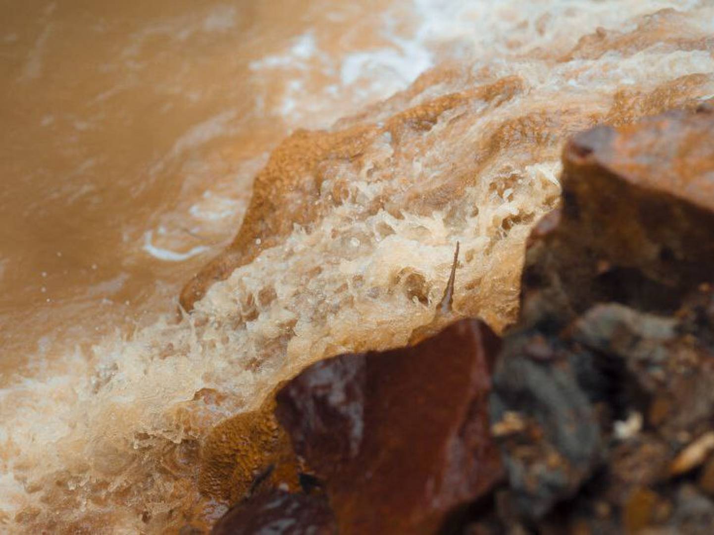 أنهار ألاسكا تتحول إلى اللون البرتقالي في تحول بيئي مثير للقلق