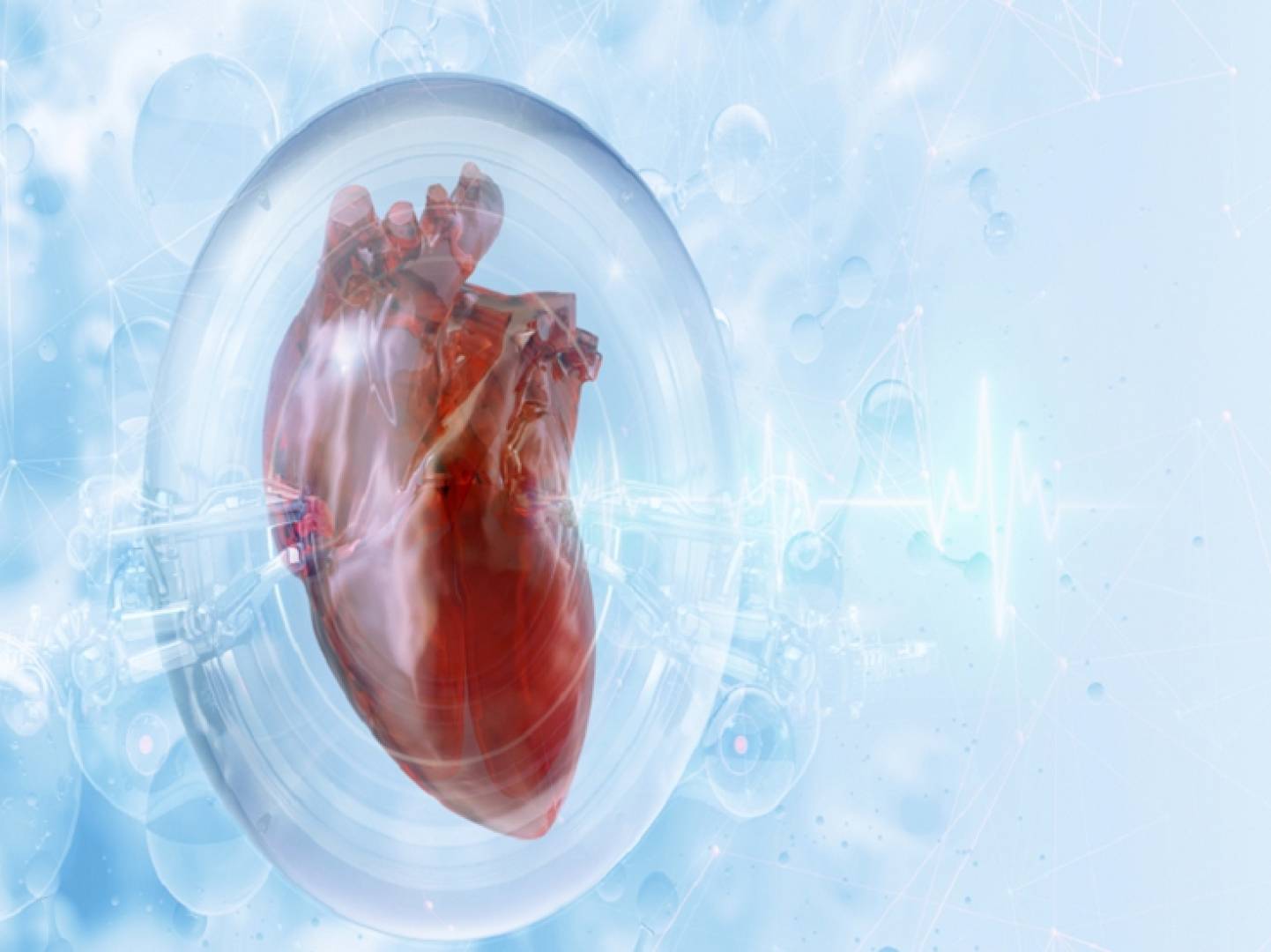 مكملات غذائية شائعة قد تتداخل مع دواء وارفارين وتزيد خطر النزيف