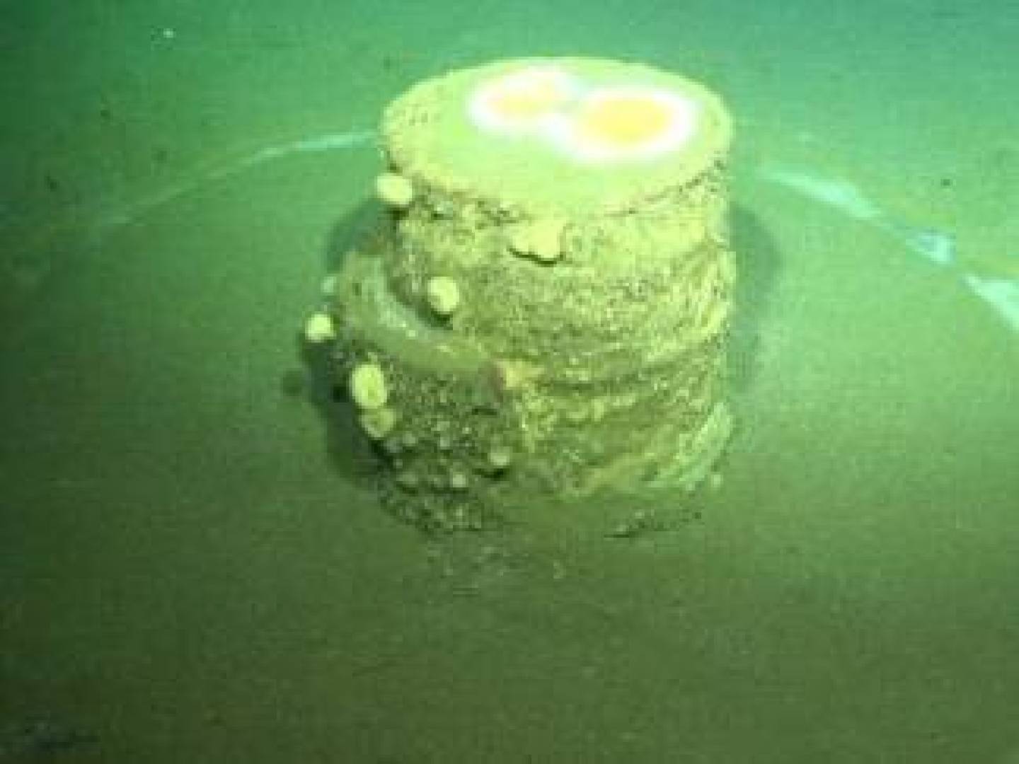 اكتشاف هالات بيضاء سامة حول براميل كيميائية غارقة