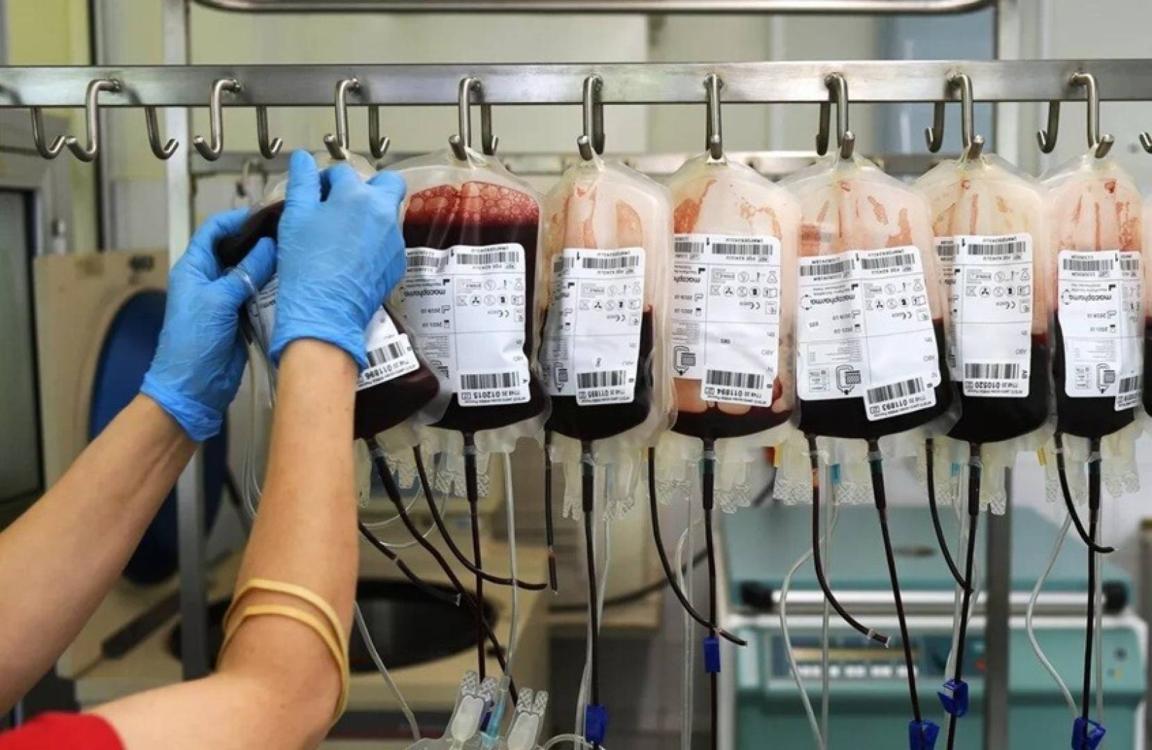 الدم الذهبي.. فصيلة نادرة تنقذ الأرواح وتواجه صعوبات استثنائية