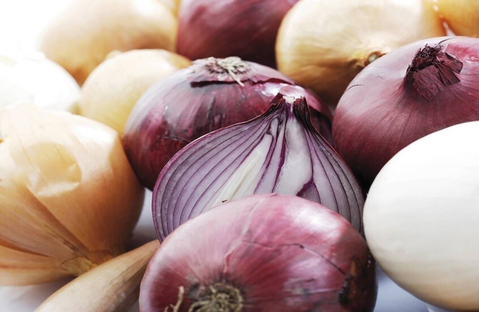 تعرف على فوائد البصل.. يقوي المناعة ويحمي من الأمراض