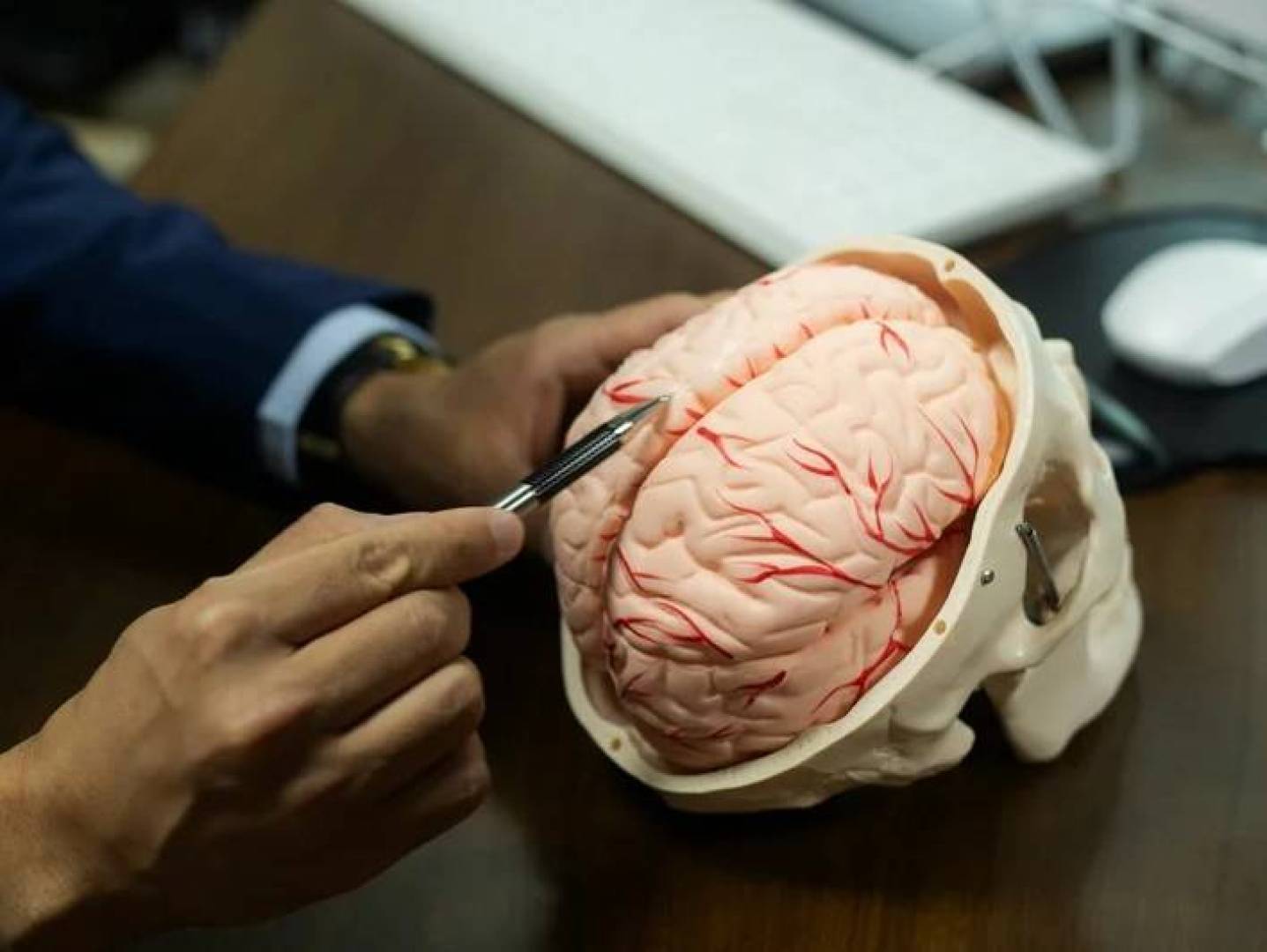 ابتكار كوري جنوبي يحاكي الأوعية الدماغية المتضيقة ويفتح آفاقا جديدة لعلاج أمراض الدماغ