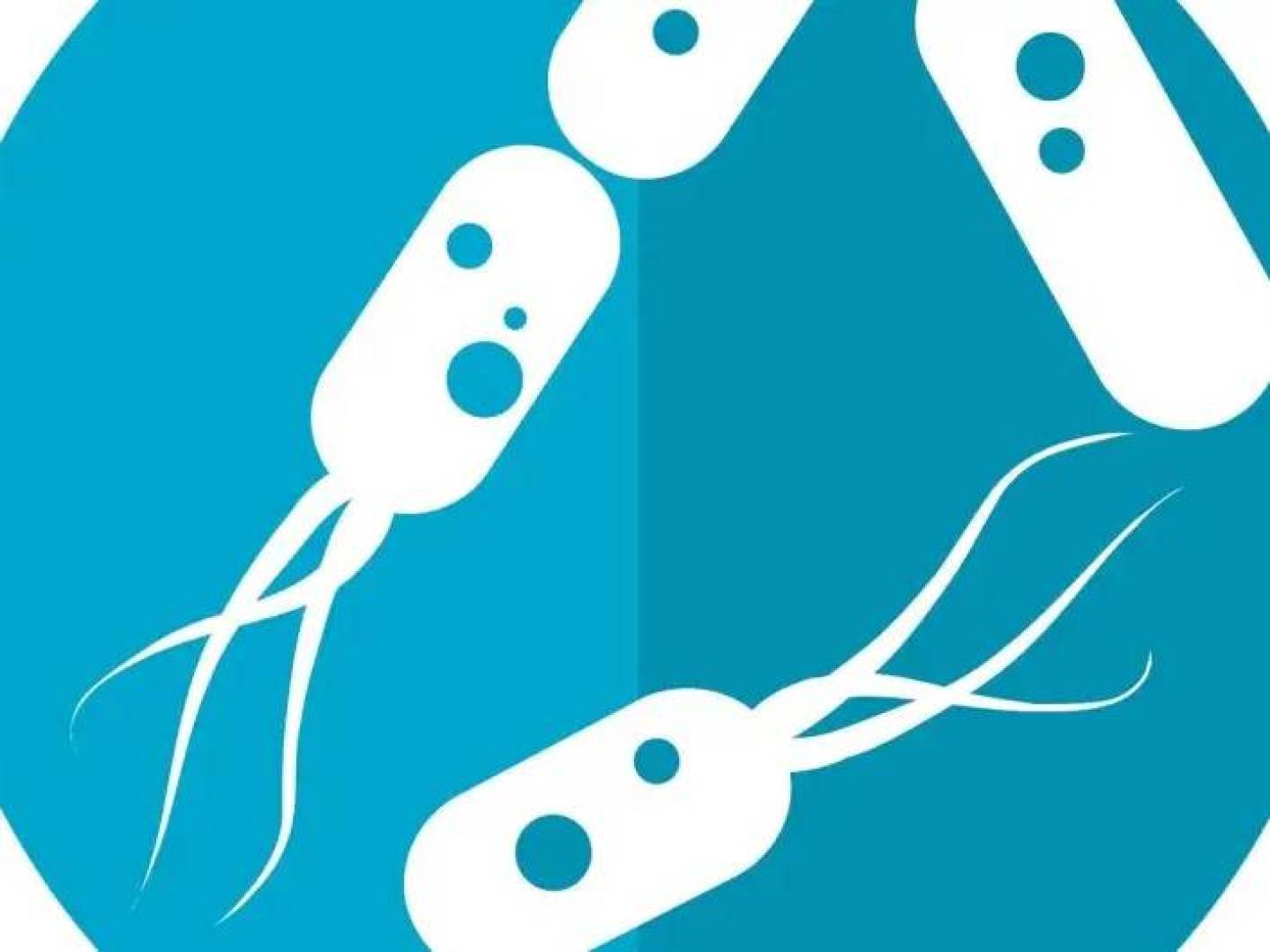 حاسة جديدة تربط الميكروبات المعوية بالدماغ مباشرة