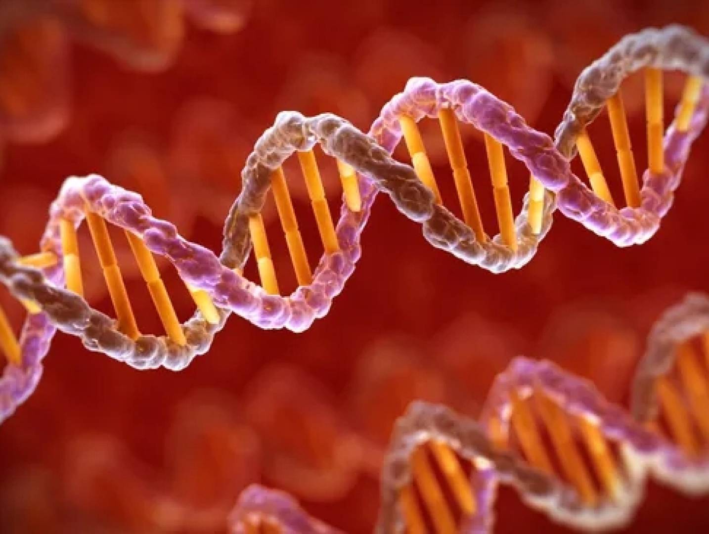 اكتشف أسرار الجينات والوراثة.. تشكل الهوية وتحدد الصفات