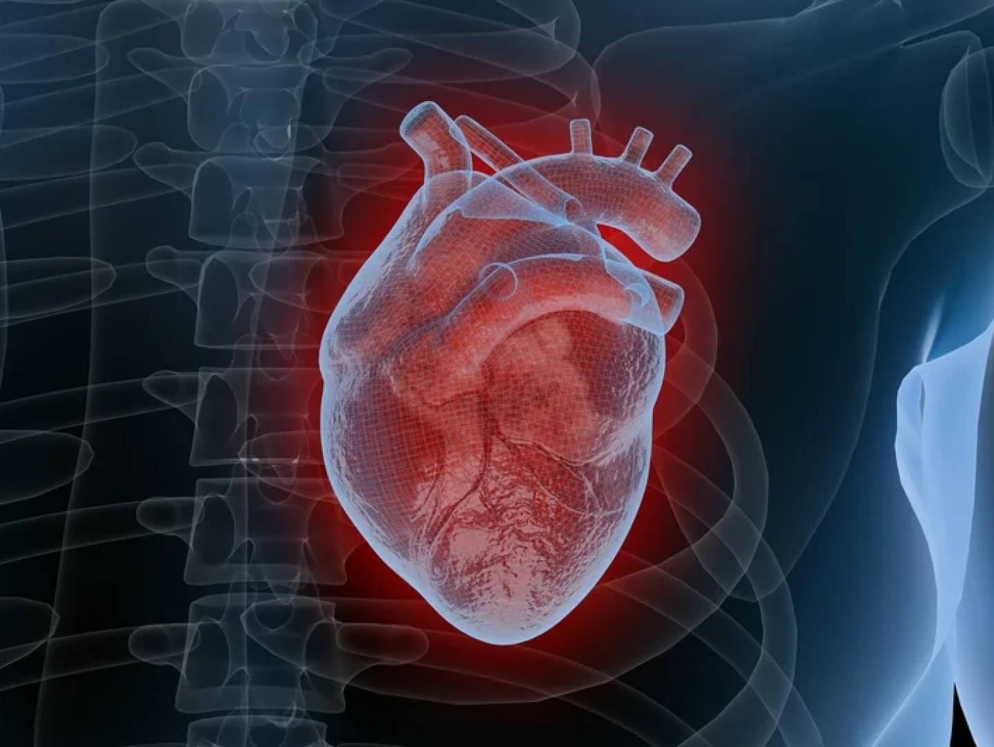 التلوث الضوضائي وأمراض القلب.. صلة خفية تهدد الصحة في صخب المدن الحديثة