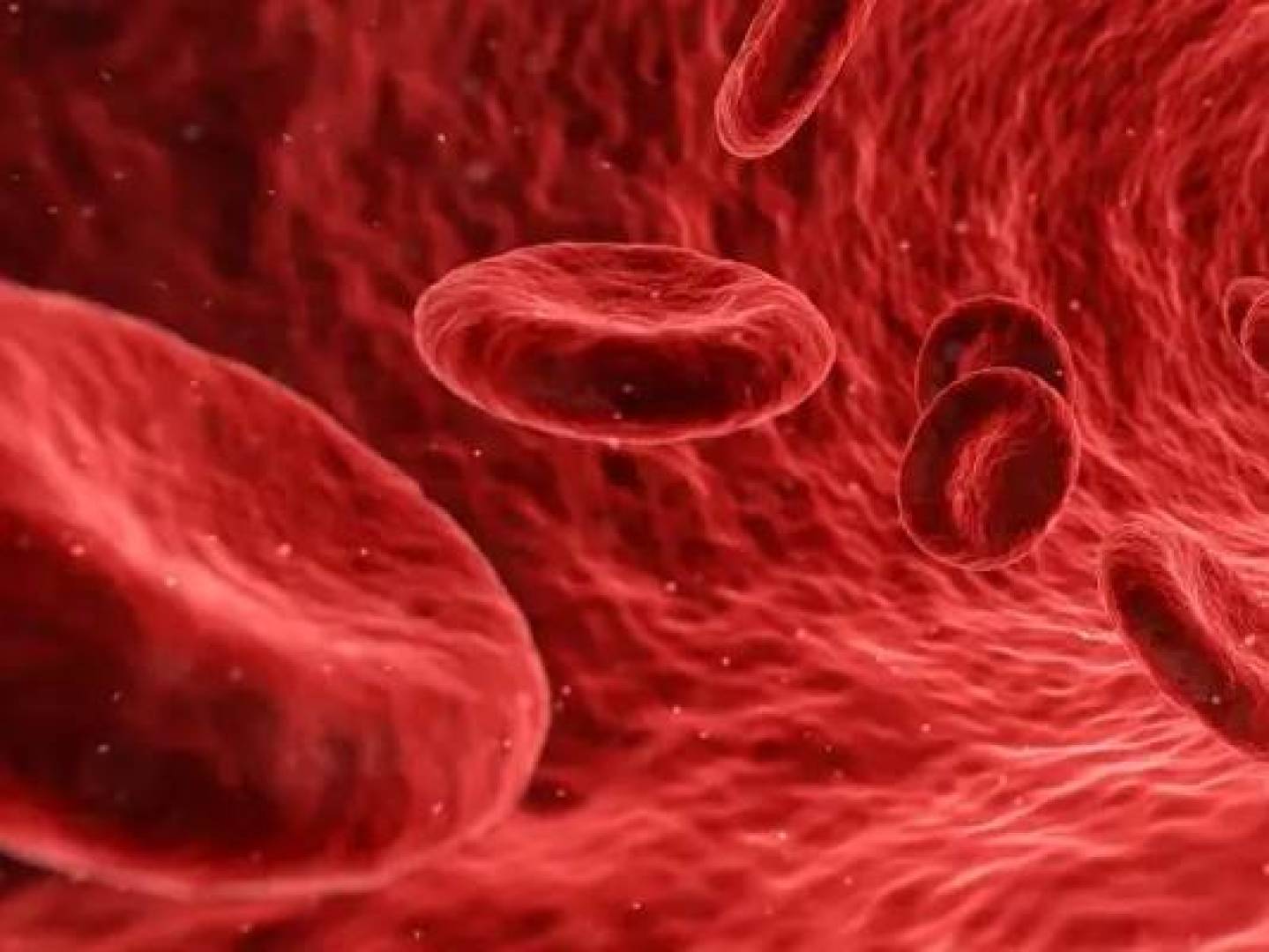 دراسة جديدة تكشف الصلة بين أمراض الشرايين ونمو الأورام السرطانية
