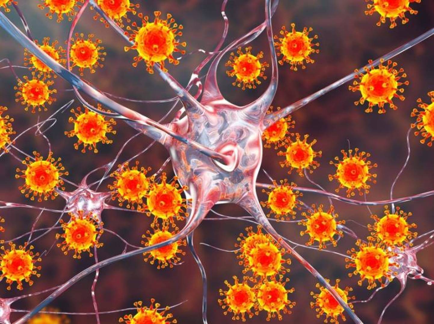 بعض الفيروسات قد تقلل من خطر الإصابة بالأمراض النفسية بعض الفيروسات قد تقلل من خطر الإصابة بالأمراض النفسية