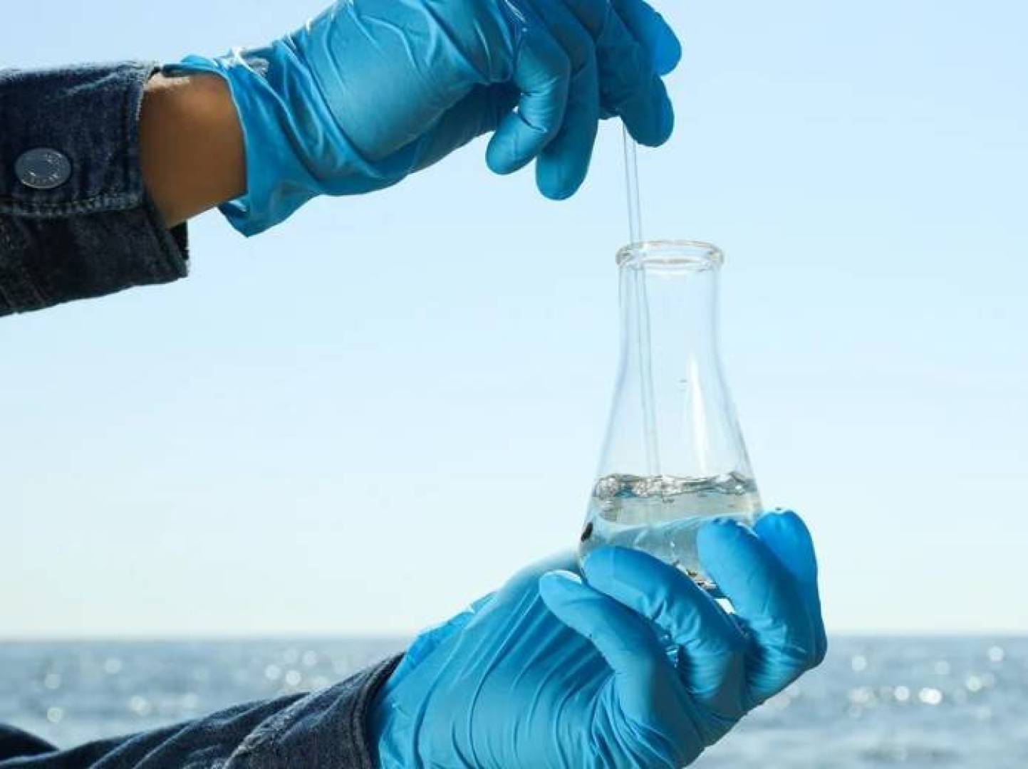 البيو-فحم.. تنقية المياه من السموم بدون مواد كيميائية البيو-فحم.. تنقية المياه من السموم بدون مواد كيميائية