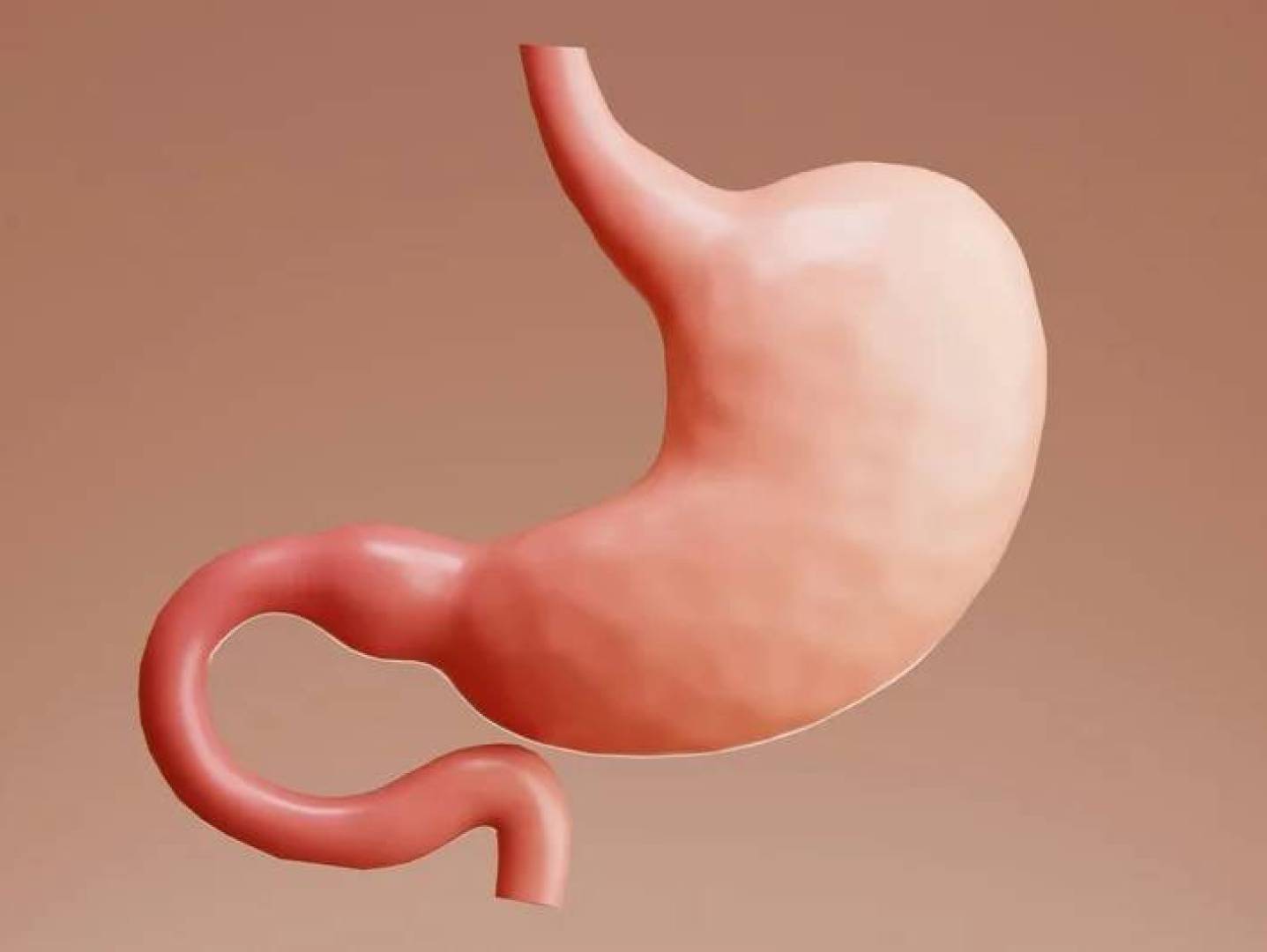 العلاقة المدهشة بين المعدة والصحة النفسية