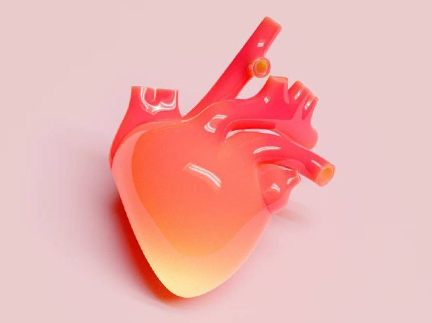 علماء يرصدون كيف يبدأ قلب الإنسان بالنبض داخل الرحم