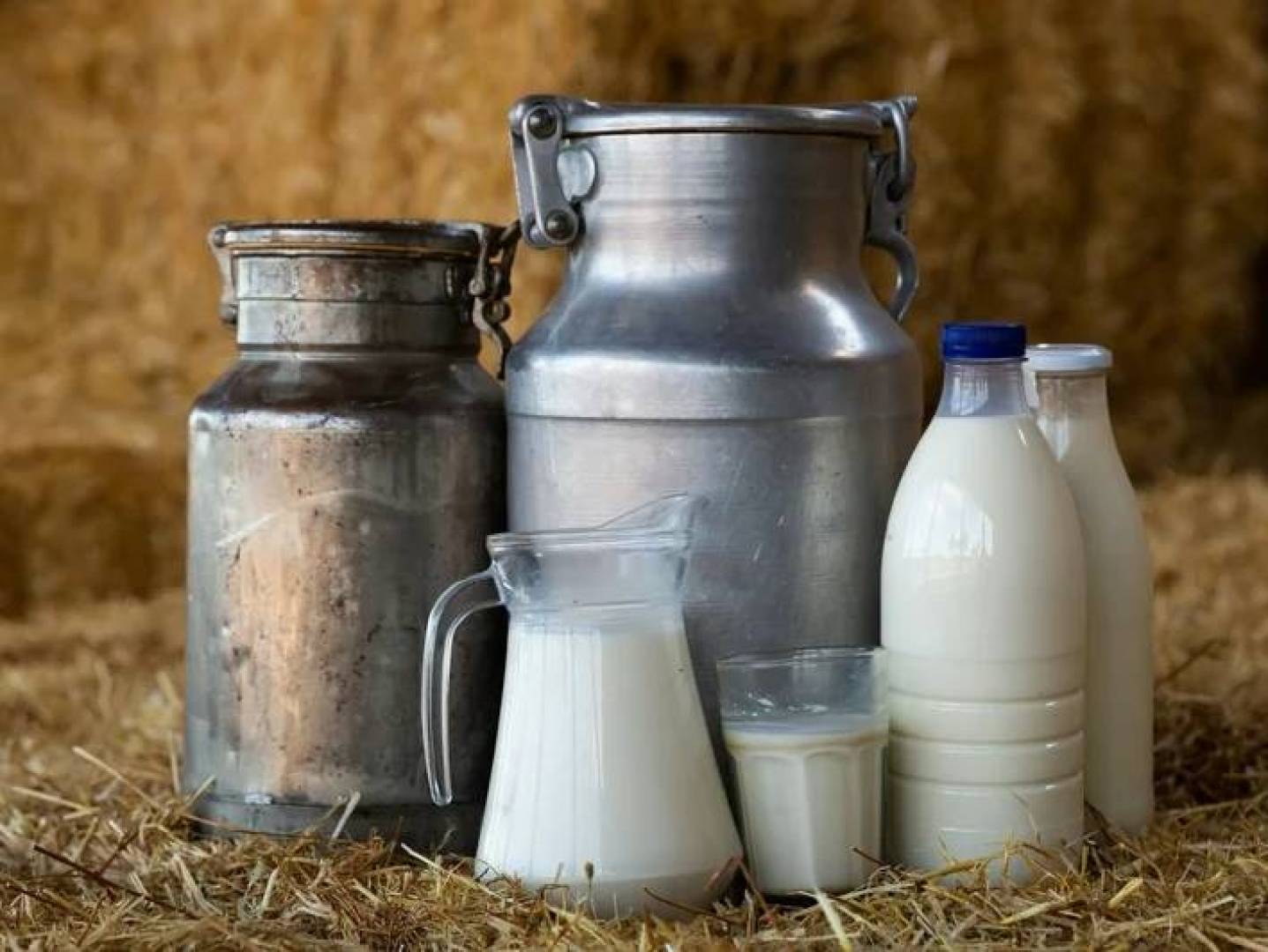 خرافات شائعة عن منتجات الألبان يكشفها خبراء التغذية