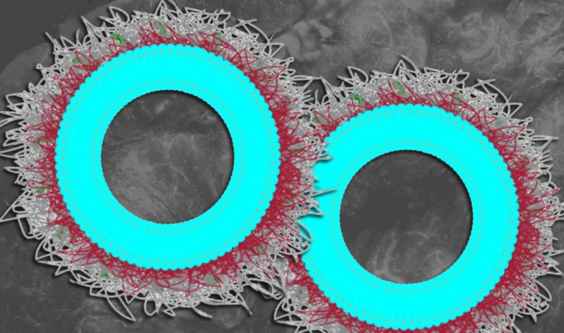 جسيمات نانوية جديدة تعزز العلاج المناعي ضد سرطان المبيض