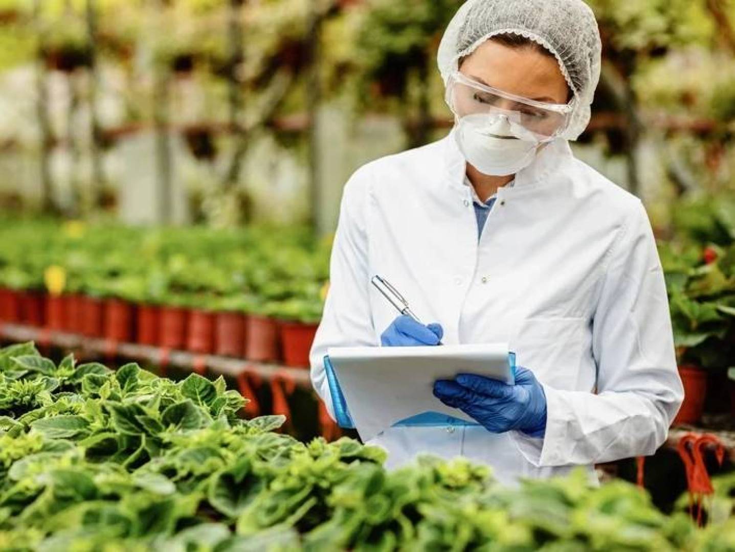 طريقة جديدة تحدث طفرة في عالم الزراعة الجينية