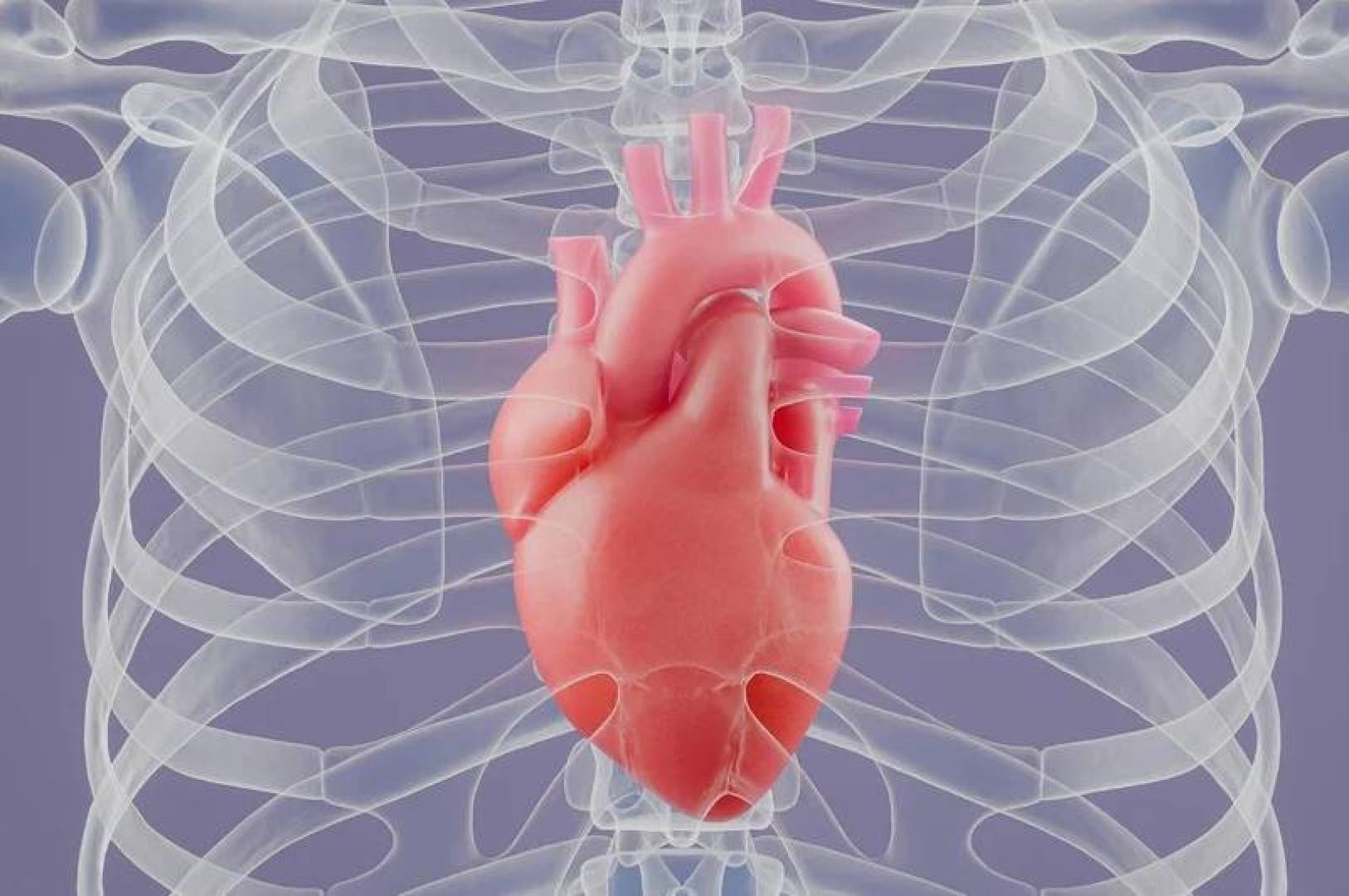 اكتشف 10 أسرار مدهشة عن قلب الإنسان