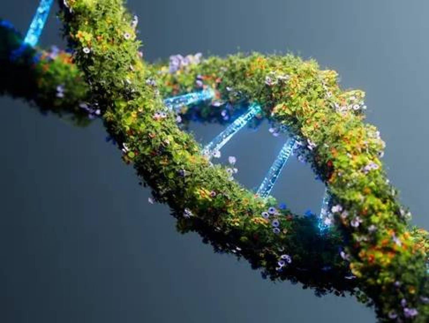 اكتشاف أقدم حمض نووي في العالم عمره 2.4 مليون سنة